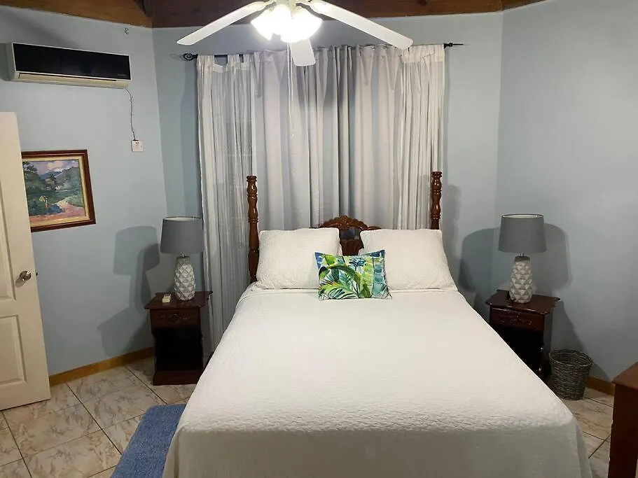 Magic Moments Ja Vila Black River Jamaica